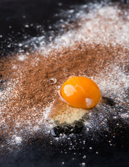 Dusted wheat flour, cocoa powder and egg on dark background