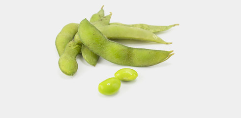 Fresh  soybean