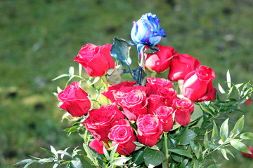 mazzo di rose rosse