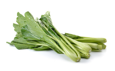 Chinese Flowering cabbage on white background