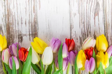Crédence de cuisine en verre imprimé Tulipe Fond de belles tulipes