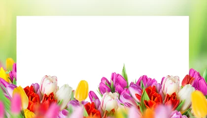 Crédence de cuisine en verre imprimé Tulipe Beau bouquet de tulipes.