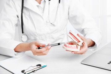Young female dentist showing model of human teeth