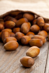 Hazelnut pile in burlap sack