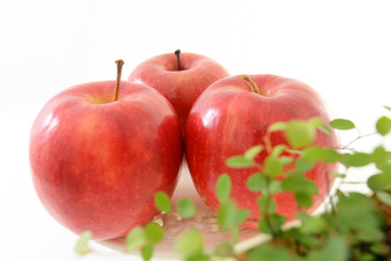 美味しそうな林檎