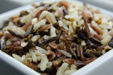 Wild Rice Close Up