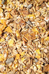 natural sportive  muesli background. for horse.close up