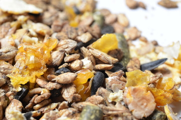 natural grain sportive  muesli background. for horse. macro
