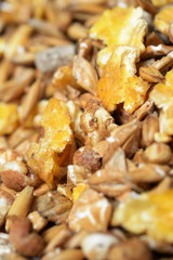 high quality natural sportive  muesli background. for horse.macr