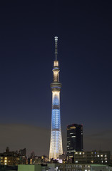 Obraz premium 東京スカイツリー 夜景