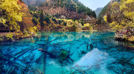Jiuzhaigou National Park,Sichuan China - obrazy, fototapety, plakaty