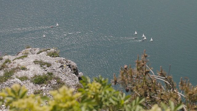 Gardasee Regatta Segeln mit K&uuml;ste und Pflanzen