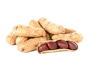 peanut on white background
