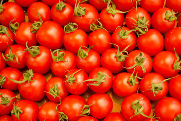 Tomatoes at the Market.