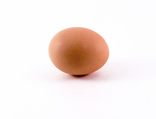 A single uncooked raw egg still in it's shell