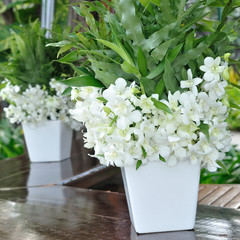 Group of white orchid flowers in vase on wooden table.