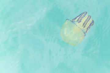 colorful jellyfish cups floating.