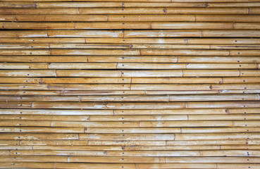 old bamboo trunk background