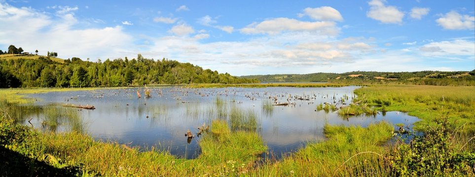 Pond in marshland on the island of Chiloe, Patagonia, Chile
