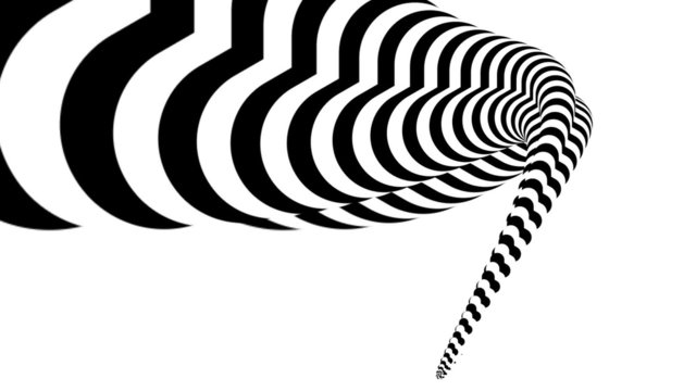 Abstract zebra white and black form animation