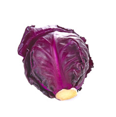 Obraz premium Purple cauliflower is vegetable,isolated on white background
