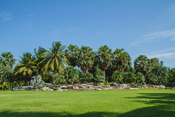 Garden in Thailand