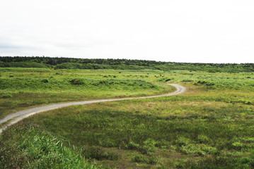 コンセプトロード