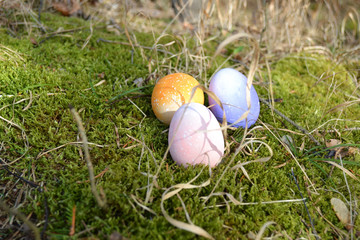 Osternest im Freien