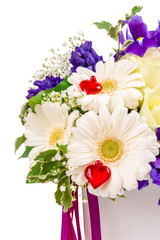 Spring flower isolated