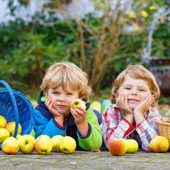 Fototapeta premium Two adorable little sibling kids eating apples in home's garden,