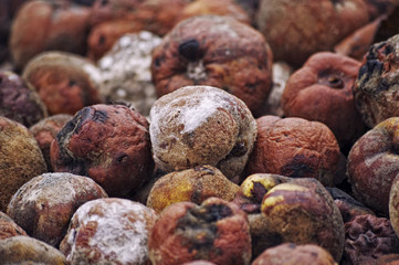 rotten fruit