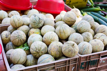 Fototapeta na wymiar Organic fresh cantaloupe melon from mediterranean farmers market