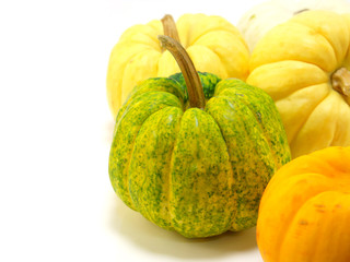collection of mini pumpkin isolated on a white background
