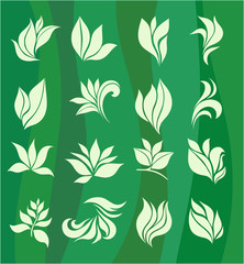 set of elements for design - stylized leaves