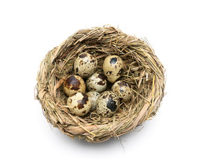 Obraz premium quail eggs in a nest isolated on a white background