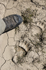 bear foot print on mug and man foot