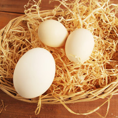 Osternest mit drei Eiern