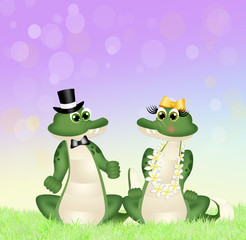 crocodiles couple