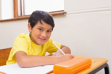 Cute pupil writing at desk in classroom