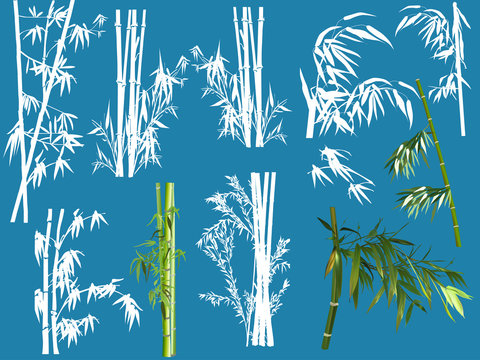 bamboo collection isolated on blue background