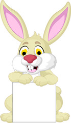rabbit cartoon posing with blank sign