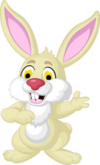 rabbit cartoon dancing