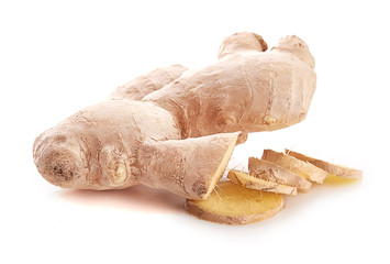 Fototapeta premium Ginger