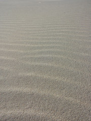 Fototapeta na wymiar sabbia delle dune - Fuerteventura