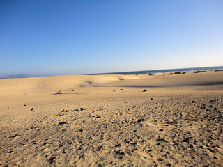 dune Corralejo - fuerteventura