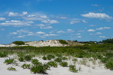 Natural Beach Landscape