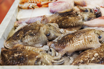 Seafood variety