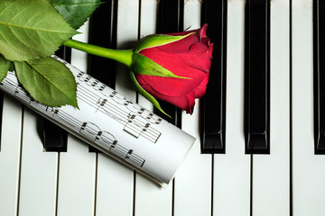 Gül, Nota ve Piyano