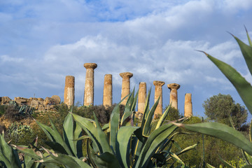 Temple of Hercules