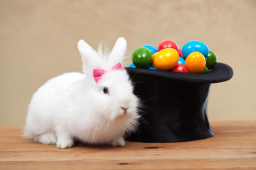 Cute bunny with easter eggs